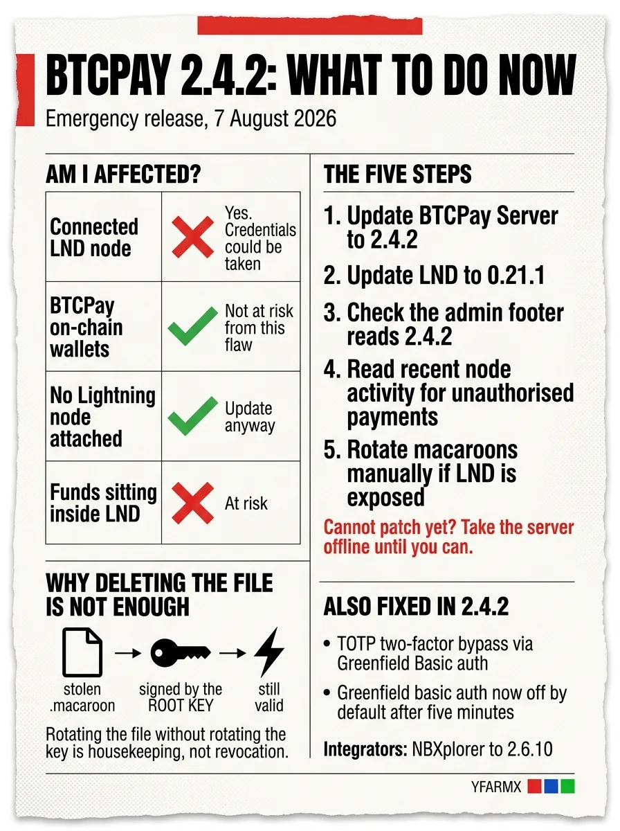 Infographic: BTCPay 2.4.2, what to do now, showing which setups are affected, the five remediation steps, why deleting a macaroon file does not revoke it, and the second bug fixed in the same release