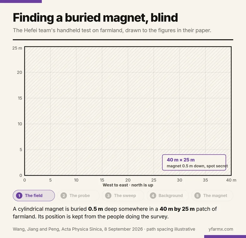 An animation in five steps showing the buried-magnet test. One: a 40 m by 25 m plot with a magnet buried 0.5 m deep at a secret spot. Two: the probe on a 1 m carbon rod, 5 to 10 cm above the ground. Three: a back-and-forth path drawn across the whole plot. Four: the background reads 50,100 nT, give or take 50. Five: a red high of 50,530 nT to the west and a blue low of 48,750 nT to the east appear near the point 14, 13.5, and a crosshair marks the fitted centre at the burial spot.