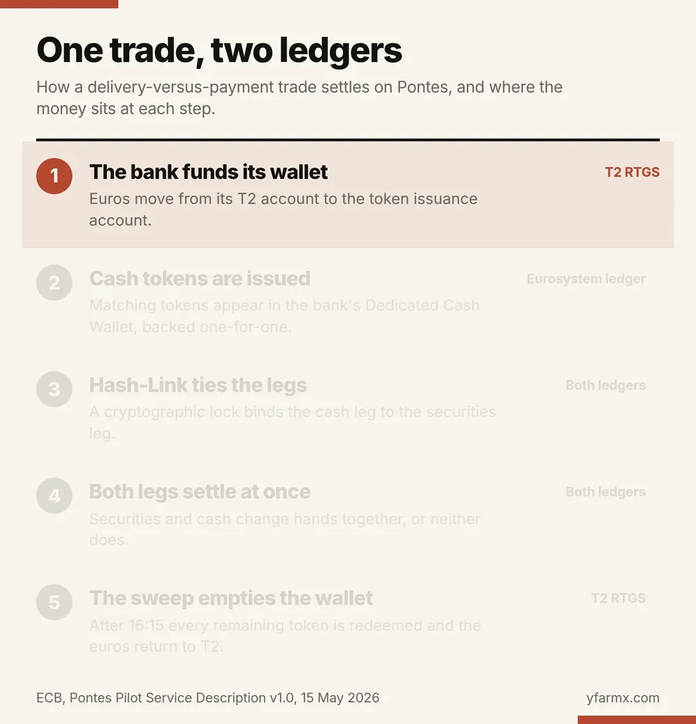 An animation showing a Pontes delivery-versus-payment trade in five steps. A bank moves euros from its T2 account into a Dedicated Cash Wallet, cash tokens are issued against them, the Hash-Link protocol locks the cash leg and the securities leg together, both legs settle at once, and the end-of-day sweep returns the remaining tokens to T2.