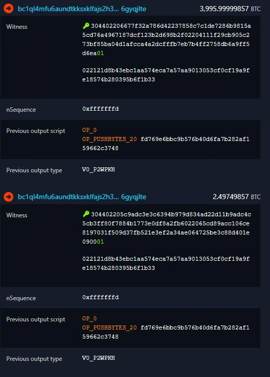 Actual expanded witness rows from mempool.space showing the identical public key in both inputs.