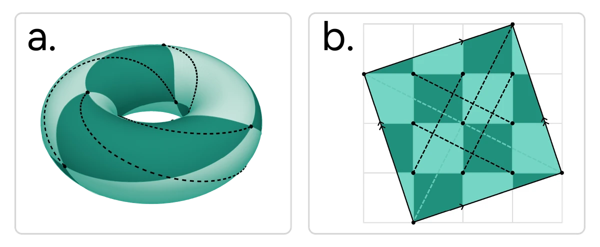 Quantinuum's diagram of the connected structure used to construct its Helix error-correcting code.
