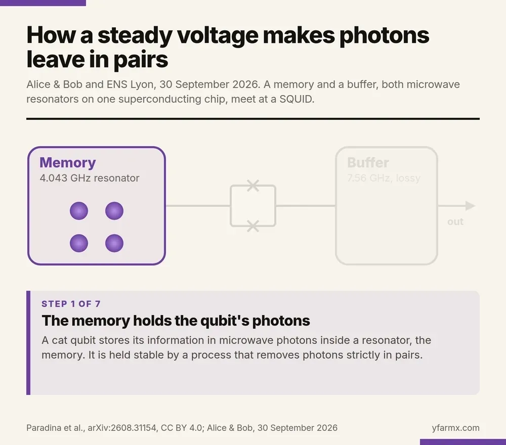 An animation in seven steps showing how a steady voltage makes photons leave a superconducting memory in pairs. One: the memory, a 4.043 GHz resonator, holds the qubit's photons, and a cat qubit is held stable by removing them strictly in pairs. Two: in Alice and Bob's current cat qubits a microwave signal drives the coupler that does this. Three: on this chip the coupler is a SQUID, a loop of two Josephson junctions, held at a steady 1.1 microvolts. Four: a Cooper pair tunnelling across it exchanges an energy of 2eV with the circuit, and crosses only when the circuit can absorb or supply exactly that amount. Five: two memory photons at 4.043 GHz exceed one buffer photon at 7.56 GHz by 0.53 GHz, the energy a Cooper pair exchanges at about 1.1 microvolts, so each crossing turns a pair into one buffer photon. Six: the lossy buffer lets that photon escape, and in the experiment the pairs drained within about 50 nanoseconds. Seven: changing the voltage changes the swap, each swap with its own bias calculated from the paper's mode frequencies: about 7.3 microvolts swapping one photon for one, about 1.1 two for one, and about 18 four for one.