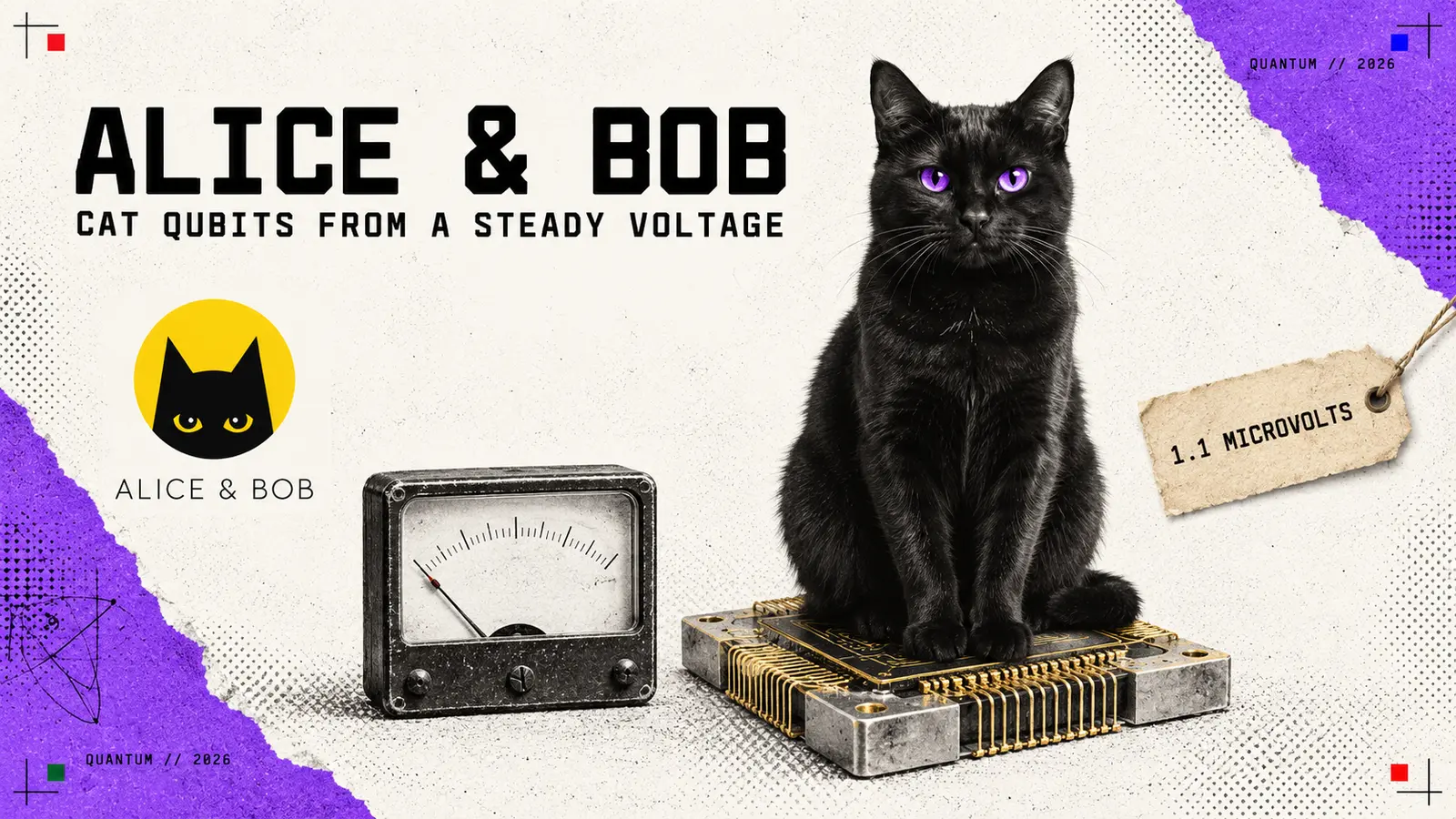 Editorial collage headed Alice & Bob, with a black cat with glowing purple eyes sitting on a gold-wired superconducting chip, an analogue voltmeter whose needle rests just off zero, a tag reading 1.1 microvolts and the Alice & Bob logo; the subtitle reads cat qubits from a steady voltage.