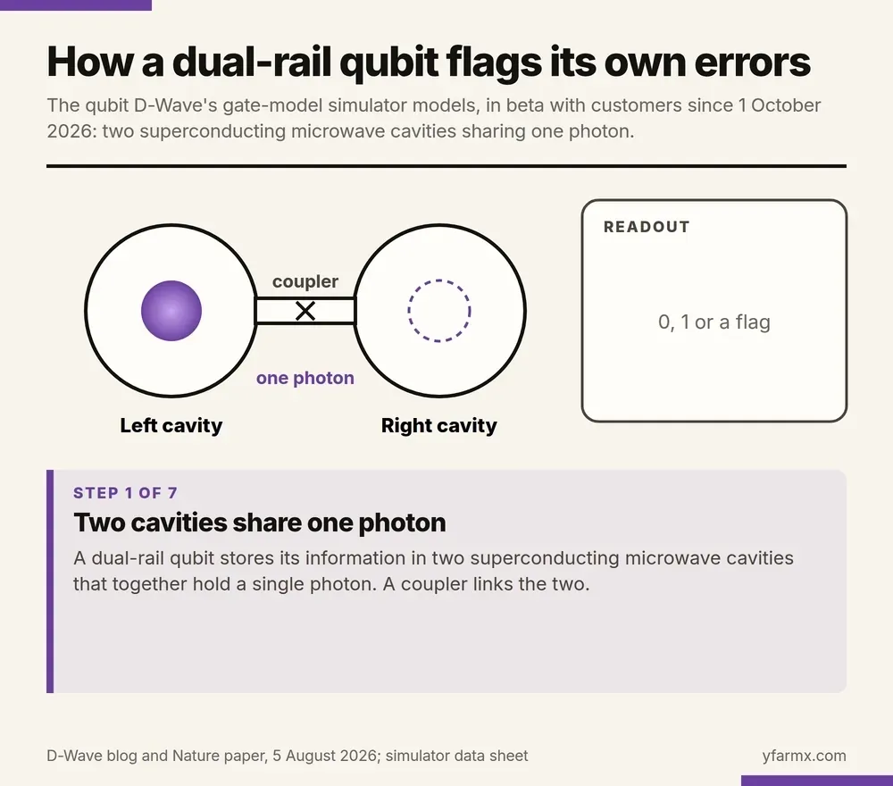 An animation in seven steps showing how a dual-rail qubit flags its own errors. One: two superconducting microwave cavities, joined by a coupler, share a single photon. Two: a photon in the left cavity reads as 0 and a photon in the right cavity as 1, and the readout shows 0. Three: the qubit can hold 0 and 1 at once, with the photon shared across both cavities. Four: the photon can occasionally be lost through tiny imperfections in the hardware or interactions with its surroundings, leaving neither cavity holding it. Five: the readout returns 0, 1 or an error flag, here a red flag marked erasure detected, and D-Wave says erasures make up about 90 per cent of the qubit's errors while it idles. Six: in a toy five-bit code, a code word 00000 hit by three hidden bit flips becomes 01101 and is read wrongly as 1, while three flagged erasures leave 0**0* and it is read correctly as 0, because a code that corrects up to n hidden flips can correct up to 2n erasures. Seven: the simulator has two modes, an ideal mode for building and checking an algorithm quickly and a hardware-emulation mode that adds D-Wave's error model with error detection, for up to 21 qubits through D-Wave's Leap cloud and Ocean software kit.