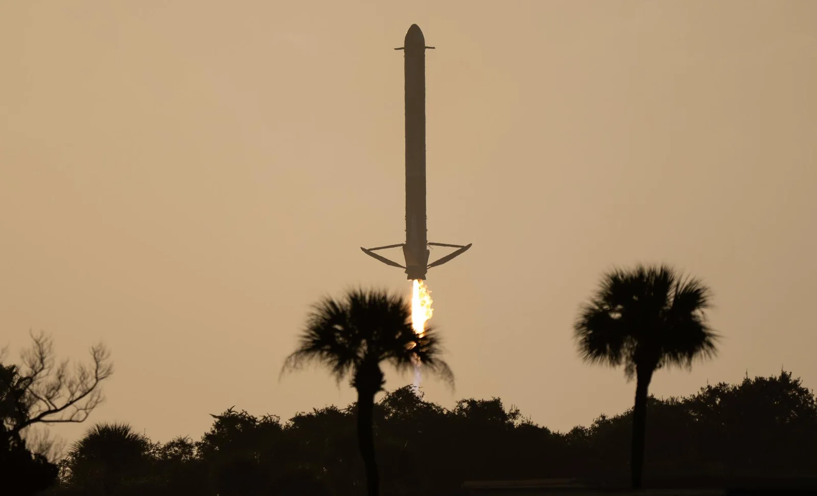 A Falcon Heavy side booster descending tail first towards Landing Zone 2 on a single bright engine flame, its landing legs deployed and grid fins out near the top, silhouetted against a hazy amber dawn sky above a line of palm trees and scrub at Cape Canaveral.