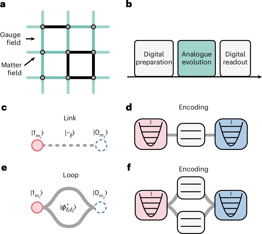 The research team's diagram of particle sites and connecting gauge fields, with their encoding in trapped-ion qubits and oscillators.