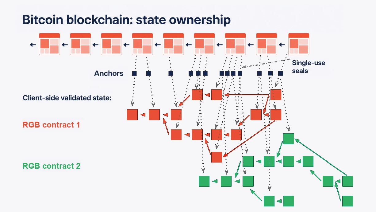 Diagram titled Bitcoin blockchain: state ownership. A row of nine Bitcoin blocks runs across the top, each linked to the one before it. Dotted arrows run down from the blocks to a row of small dark squares labelled anchors, with single-use seals marked beside them, and on to two separate webs of squares labelled client-side validated state: RGB contract 1 in red and RGB contract 2 in green, each square linked to earlier ones in its own contract.