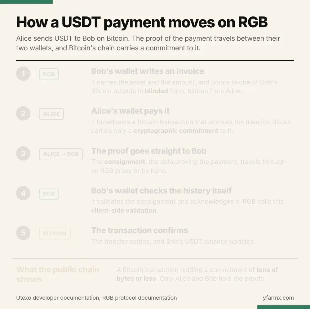 An animation in five steps showing how Alice pays Bob in USDT on RGB. Step 1, Bob: his wallet writes an invoice that names the asset and the amount and points to one of his Bitcoin outputs in blinded form, hidden from Alice. Step 2, Alice: her wallet broadcasts a Bitcoin transaction that anchors the transfer, and Bitcoin carries only a cryptographic commitment to it. Step 3, Alice to Bob: the consignment, the data proving the payment, travels through an RGB proxy or by hand. Step 4, Bob: his wallet validates the consignment and acknowledges it, which RGB calls client-side validation. Step 5, Bitcoin: the transaction confirms, the transfer settles and Bob's USDT balance updates. A closing strip headed What the public chain shows reads: a Bitcoin transaction holding a commitment of tens of bytes or less, and only Alice and Bob hold the proofs.